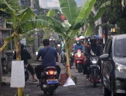 Pasca Jalan Rusak Ditanami Pohon Pisang Viral, Pemkab Sidoarjo Gercep Lakukan Perbaikan
