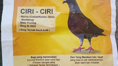 sayembara cari burung tugu jatim