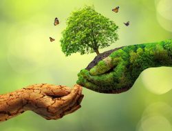 4 Cara Mudah Bergaya Hidup Ramah Lingkungan