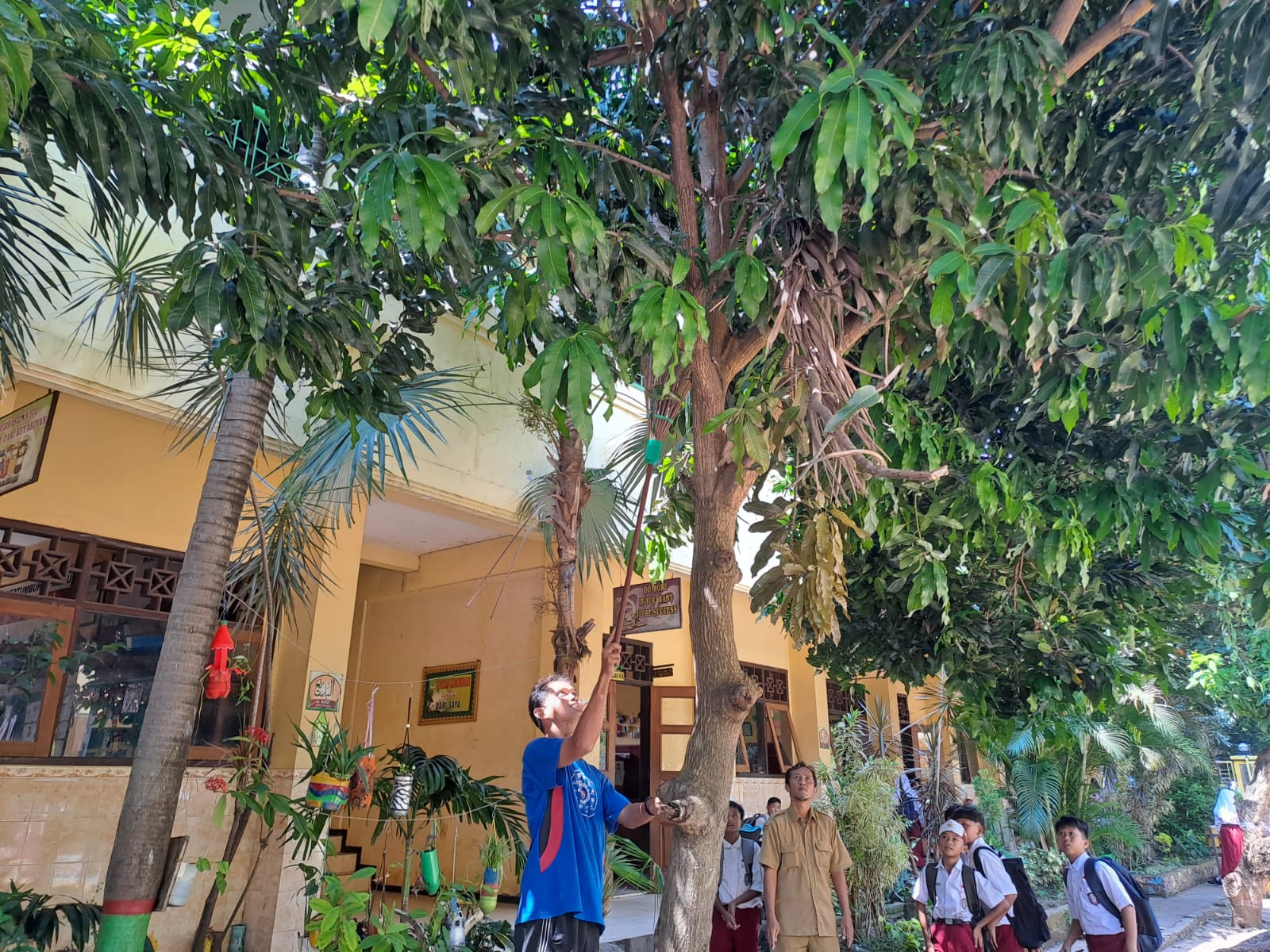 tawon ndas tugu jatim