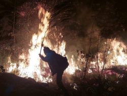 7 Daerah di Mojokerto Rawan Kebakaran Hutan dan Lahan