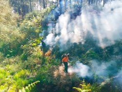 Api di Lereng Gunung Arjuno-Welirang Mulai Terkendali