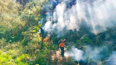 Api di Lereng Gunung Arjuno-Welirang Mulai Terkendali