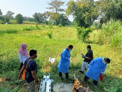 Penemuan Mayat Lansia di Tegalan Sukorejo Pasuruan, Diduga usai Kunjungi Istri Kedua