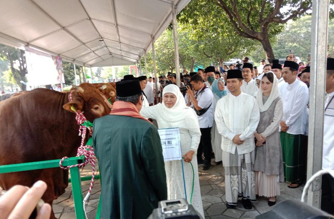 Seluruh Hewan Kurban di Masjid Nasional Al-Akbar Surabaya Disembelih Besok 1 Hewan kurban.