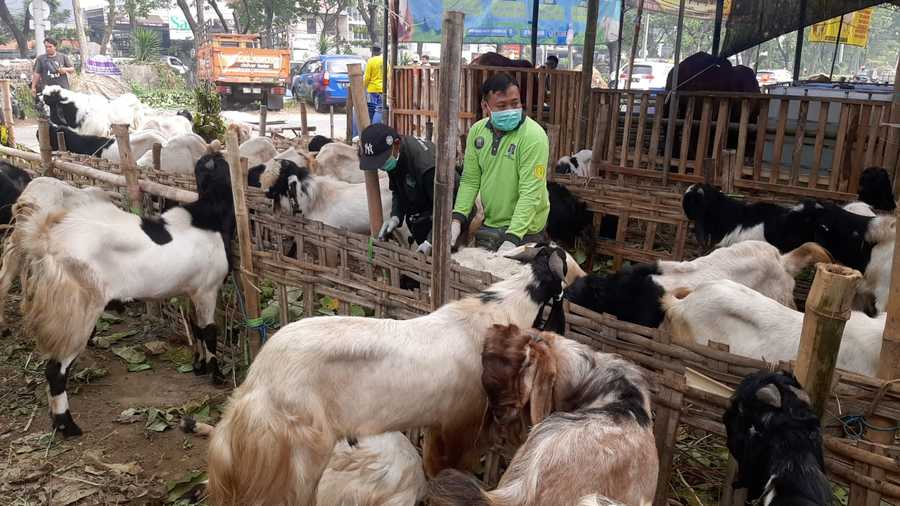 hewan kurban tugu jatim