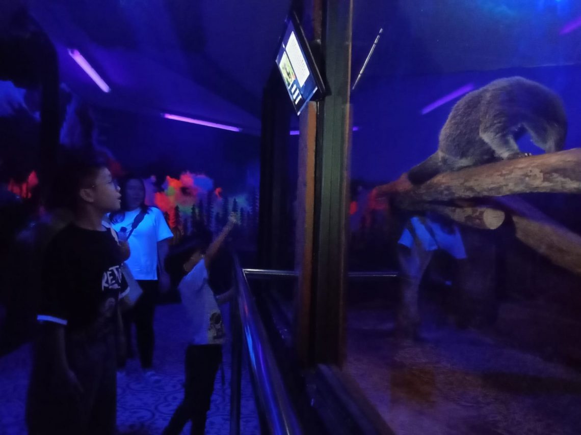 Grand Opening Surabaya Night Zoo Sajikan Petualangan Bersama Hewan Nokturnal 1 surabaya night zoo tugu jatim