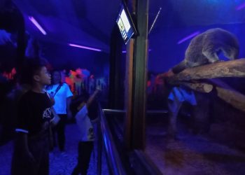 surabaya night zoo tugu jatim