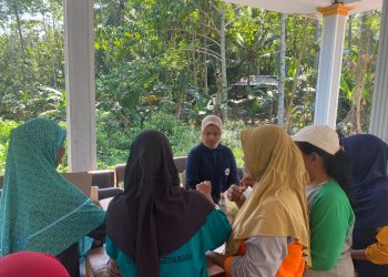 KKN Universitas Negeri Malang Paparkan Manfaat Toga ke Warga Desa Sidodadi 6 universitas negeri malang tugu jatim