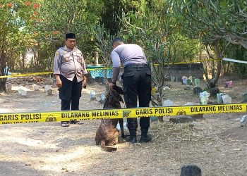 Anjing K9 Lacak Lokasi Pembunuhan Pria Terbungkus Karung di Pasuruan 10 anjing k9 tugu jatim