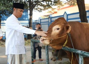 tuban tugu jatim