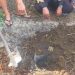 Pembunuhan pria terbungkus karung.