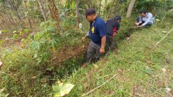 Konservasi Tanah Sistem Rorak di Pasuruan, Cegah Banjir hingga Buat Petani Durian di Pasrepan Panen Berkali-kali