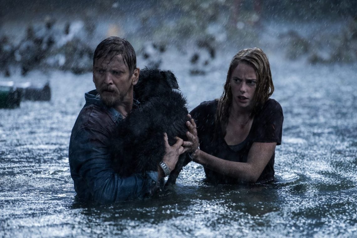 4 Rekomendasi Film Netflix Serangan Hewan Buas, Seru Penonton Rasakan Sensasi Menegangkan! 1 Film Netflix serangan hewan buas.