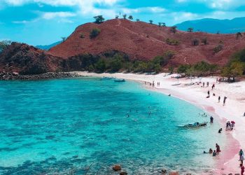 Pantai pink NTT.