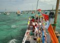 Petik laut.