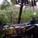 Ban Meletus, Truk Tabrak Tiang Listrik di Gempol Pasuruan hingga Ambruk, Carat-Kejapanan Mati Pet 10 Truk tabrak tiang listrik.