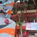 Atlet Usia Dini Ramaikan Whisnucitra Climbing Competition di Unikama 9 Atlet Usia Dini Ramaikan Whisnucitra Climbing Competition di Unikama