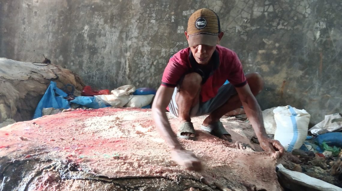 pengepul kulit hewan tugu jatim