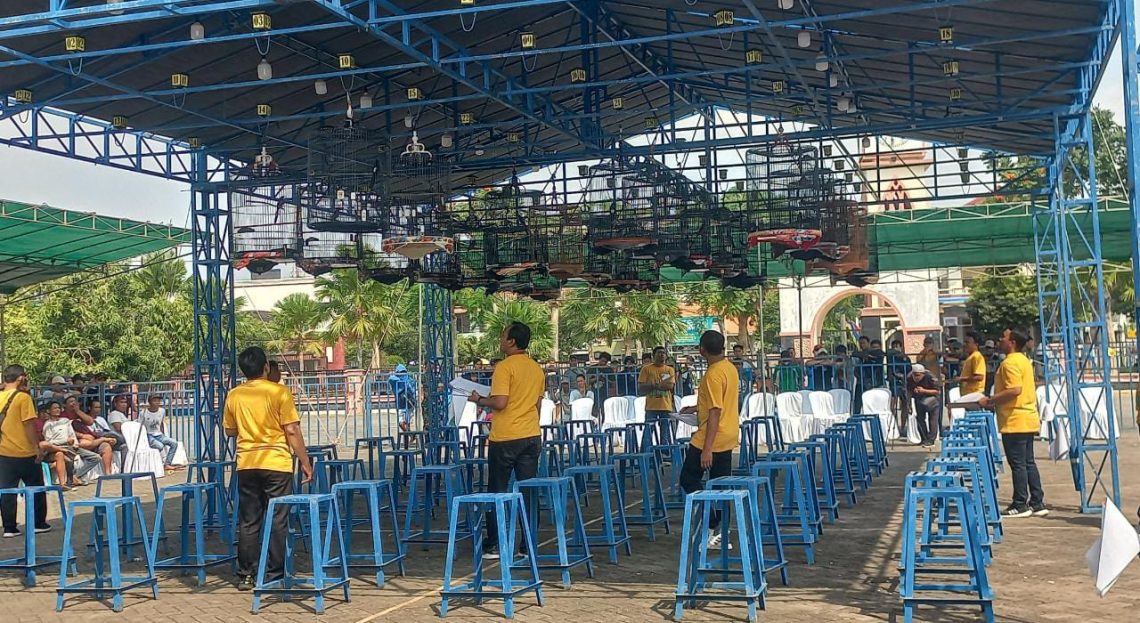 lomba burung berkicau tugu jatim