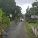 Ditanami Pohon Pisang, Jalan Rusak di Blitar Disebut Bak Praktik SIM 8 jalan rusak tugu jatim