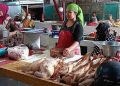 harga ayam potong tugu jatim