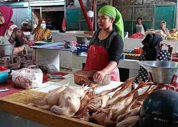 harga ayam potong tugu jatim