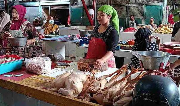 harga ayam potong tugu jatim