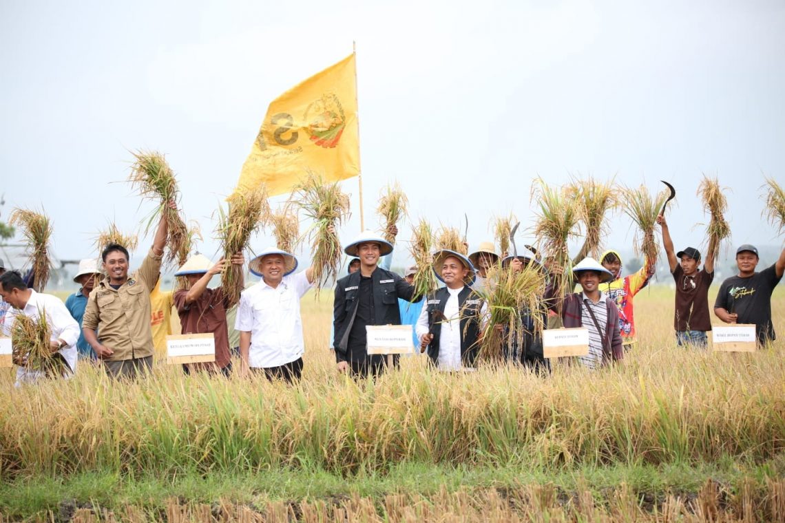 Ditanam Presiden Jokowi, Padi di Tuban Dipanen Menteri Teten Masduki 1 jokowi tugu jatim