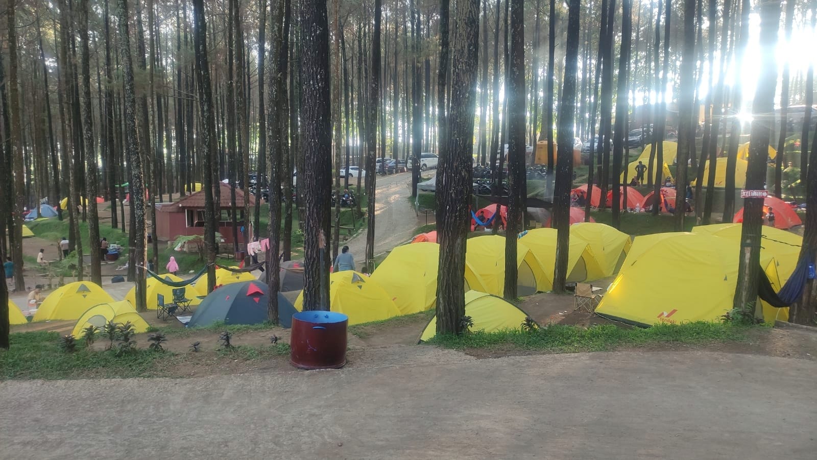 wisata alas veenuz tugu jatim
