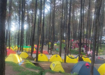 wisata alas veenuz tugu jatim
