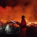 Kandang Ayam di Mojokerto Terbakar, 18 Ribu Ayam Mati 10 kandang ayam tugu jatim