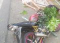 Tabrak Pohon di Surabaya, Pemuda Asal Blitar Tewas