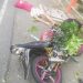 Tabrak Pohon di Surabaya, Pemuda Asal Blitar Tewas 8 Tabrak Pohon di Surabaya, Pemuda Asal Blitar Tewas