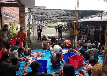 Partisipasi Mahasiswa KKN Universitas Negeri Malang dalam Kegiatan Iduladha di Desa Sumbergondo Kota Batu