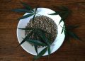 biji ganja tugu jatim