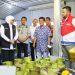 Momen Libur Panjang Jadi Penyebab Tingginya Permintaan Elpiji 3 Kg di Jatim 8 libur panjang tugu jatim