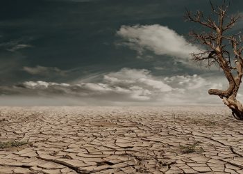 Antisipasi Elnino, Pemkab Tuban Perkuat Produksi Komoditas Pangan