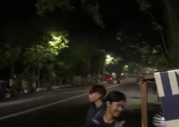 Pembalap liar.