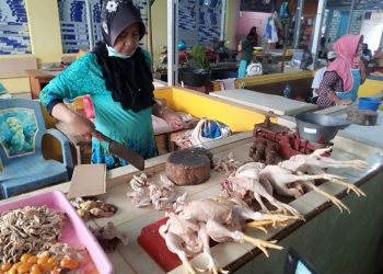 Harga daging ayam.