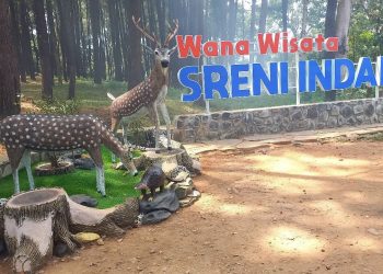 Wana Wisata Sreni Indah.