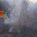 Buru Hewan Liar, 18 Hektare Lahan Hutan di Gondang Mojokerto Justru Hangus Terbakar 9 Lahan hutan.