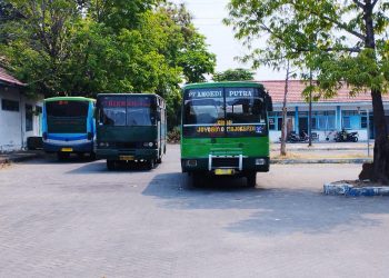 Bus hijau.