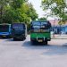 Bus hijau.