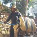 Warga Wonosunyo Pasuruan Kesulitan Air, Minta Perbanyak Saluran Air di Lereng Gunung Penanggungan 8 Warga Wonosunyo.