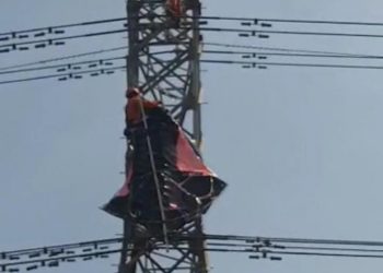 Layang-layang Jumbo Tersangkut Tower Sutet di Tuban