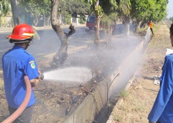 Kebakaran Lahan di Pinggir Jalur Pantura Pasuruan, Asap Ganggu Pengguna Jalan