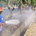 Kebakaran Lahan di Pinggir Jalur Pantura Pasuruan, Asap Ganggu Pengguna Jalan 8 Kebakaran Lahan di Pinggir Jalur Pantura Pasuruan, Asap Ganggu Pengguna Jalan