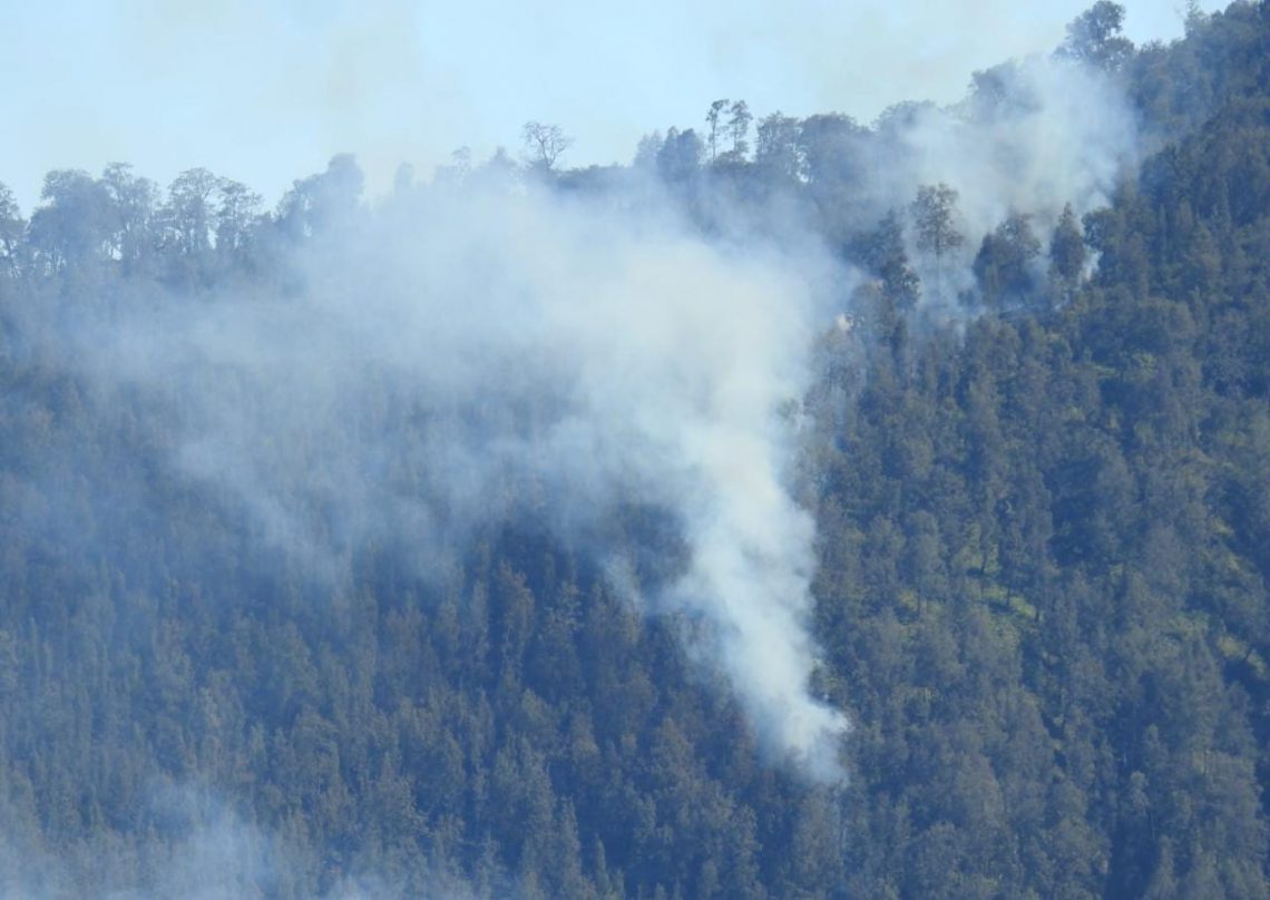 Kebakaran di Hutan Dekat Ranu Kumbolo, TNBTS Hitung Luasan Lahan Terbakar Dengan Drone 1 kebakaran semeru tugu jatim