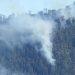 Kebakaran di Hutan Dekat Ranu Kumbolo, TNBTS Hitung Luasan Lahan Terbakar Dengan Drone 27 kebakaran semeru tugu jatim